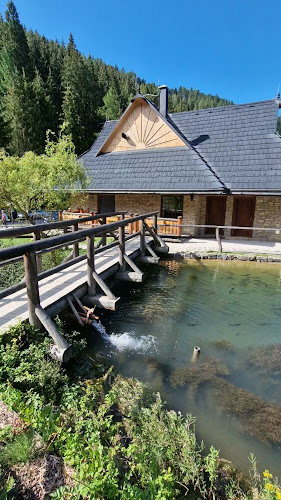 Opinii despre Koliba Richtárka în Ružomberok - Gastronómia a pohostinstvo