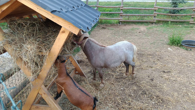 Koliba u Šidla - Gastronómia a pohostinstvo