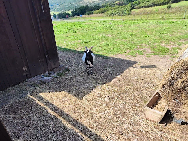 Comentarii opinii despre Penzión Réva