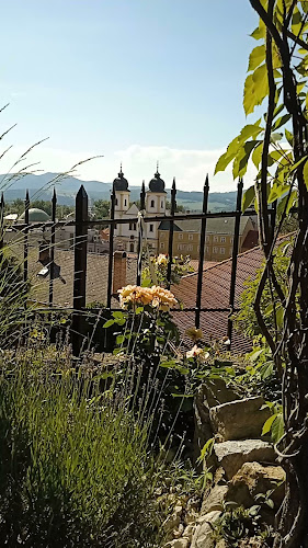 Matúšova 60, 911 01 Trenčín