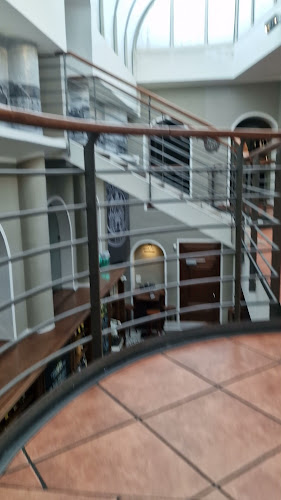 Opinii despre Meštiansky pivovar în Bratislava - Gastronómia a pohostinstvo