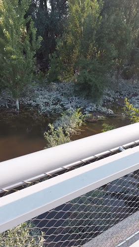 Devínsky dvor - Gastronómia a pohostinstvo