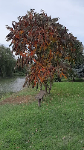 Opinii despre Čárda u Bociana în Chotín - Gastronómia a pohostinstvo