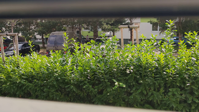 Opinii despre Tree club în Smolenice - Gastronómia a pohostinstvo