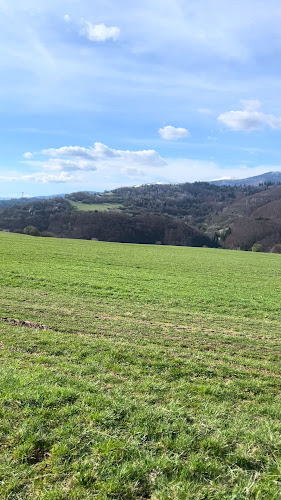 Diel 5584, 976 44 Mýto pod Ďumbierom