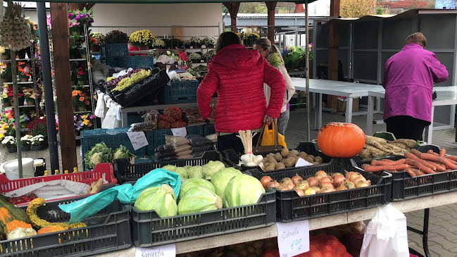 Opinii despre Mestská tržnica Turzovka în Turzovka - Gastronómia a pohostinstvo