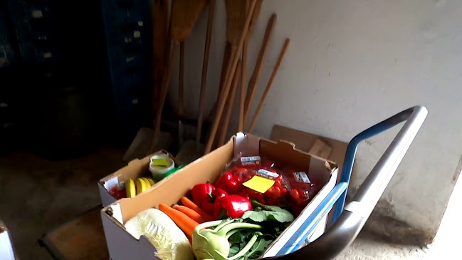 Roman Obložinský - Interzel