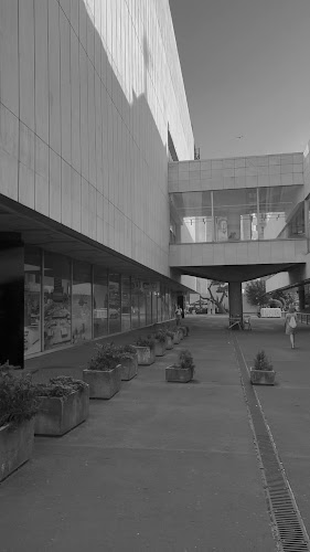 Kamenné Námestie, 811 06 Bratislava