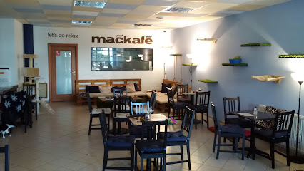 Mačkafé klub