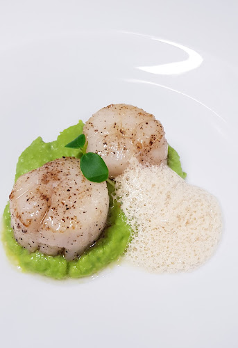 Tovarnícka 28, 955 01 Topoľčany