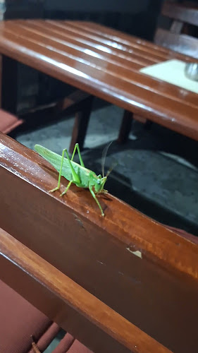 REŠTAURÁCIA VIECHA