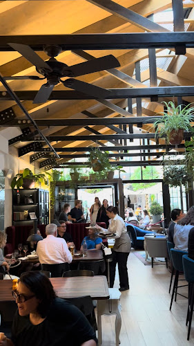 Gatto Matto Panská - Gastronómia a pohostinstvo