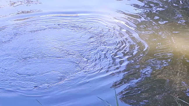 Hlavná 520, 946 31 Chotín