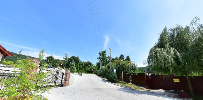 Reštaurácia a Penzión Modrá Ryba - Gastronómia a pohostinstvo