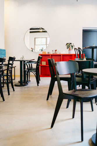 Comentarii opinii despre Paddock