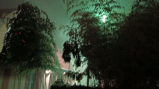 Opinii despre Bistro Panda în Galanta - Gastronómia a pohostinstvo