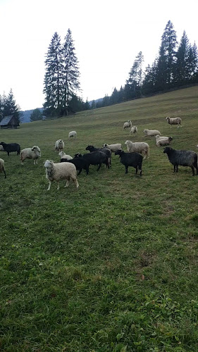 Koliba Richtárka - Gastronómia a pohostinstvo