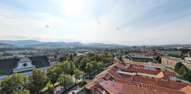 Reštaurácia Zbrojnoš