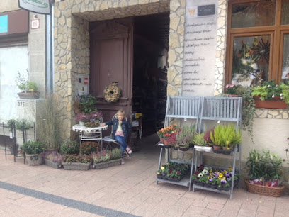 Kvetinárstvo A & Z IRIS s.r.o.