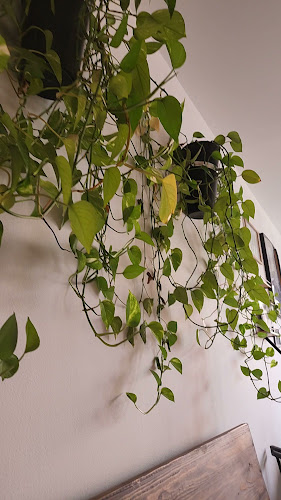 Opinii despre Panenská kaviareň în Bratislava - Gastronómia a pohostinstvo