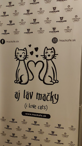 Mačkafé klub - Gastronómia a pohostinstvo