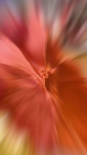 Opinii despre Zmrzlina Cukráreň Special în Stupava - Gastronómia a pohostinstvo