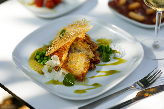 Bodega Lounge - Gastronómia a pohostinstvo