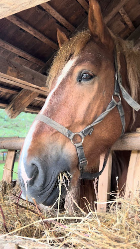 Dúbrava - Botanická záhrada Stupava, 900 31 Stupava