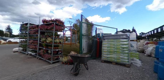 Comentarii opinii despre Brexit Cafe