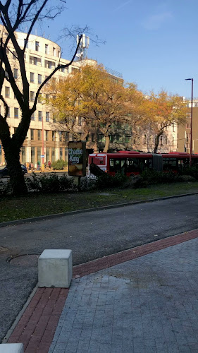 Opinii despre Papaya Vietnamese and Thai Street Food în Bratislava - Gastronómia a pohostinstvo