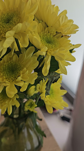 Opinii despre BIZY Cafee & Lounge în Nové Zámky - Gastronómia a pohostinstvo