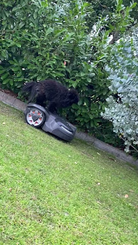 Hotel & Reštauracia Centrál - Gastronómia a pohostinstvo