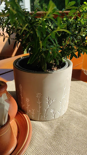 Nitrianska cesta 657, 935 32 Kalná nad Hronom