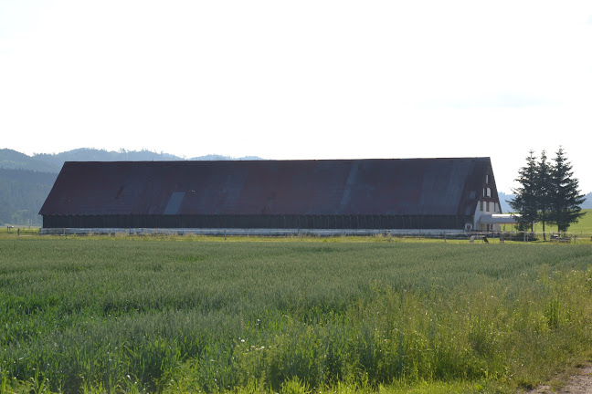 Ul. Kvetnica 3576/2a, 058 01 Poprad