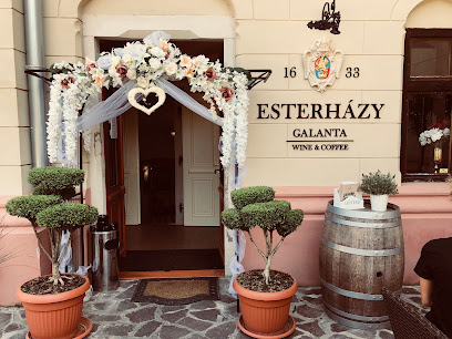 Esterházy Restaurant Galanta