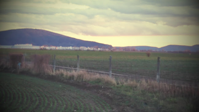 U Starého bicykla - Gastronómia a pohostinstvo