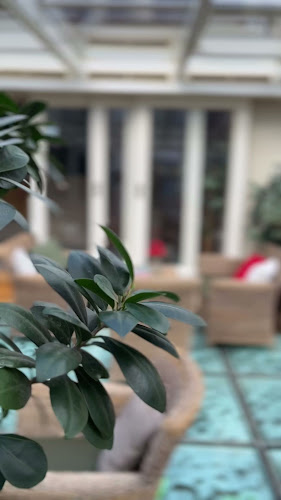 Opinii despre Čajovňa EPICURE în Nitra - Gastronómia a pohostinstvo