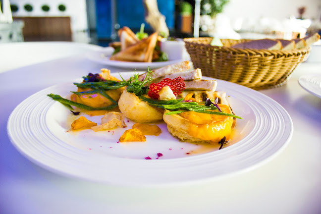 Comentarii opinii despre ZOC Koral