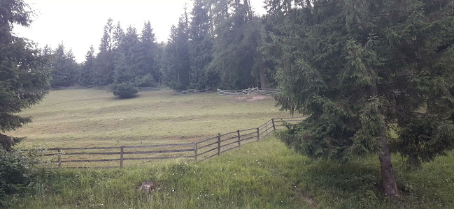 Čremošná 8684, 034 06 Ružomberok