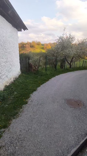 Comentarii opinii despre Restaurant Vlkolínec