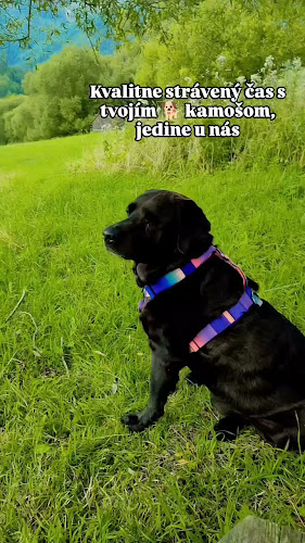 Opinii despre Restaurant Vlkolínec în Ružomberok - Gastronómia a pohostinstvo