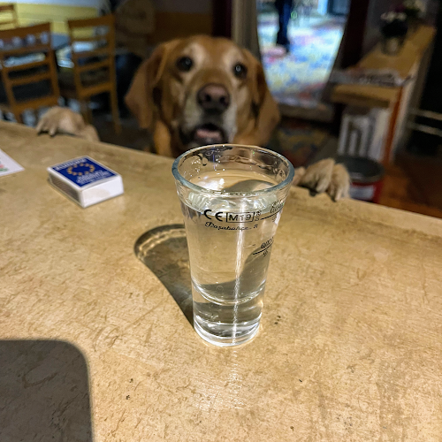 Comentarii opinii despre Espresso MIHY