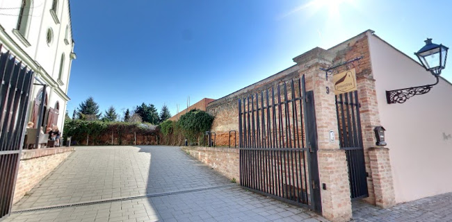 Comentarii opinii despre Synagóga café