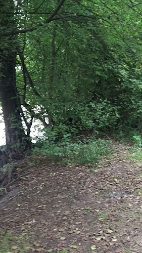 Opinii despre Motorest Nemecká în Nemecká - Gastronómia a pohostinstvo