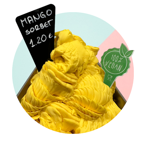 Comentarii opinii despre Zmrzlina Zadar