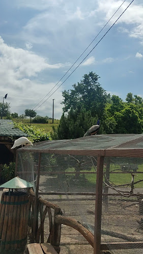 Motorest Devičie - Gastronómia a pohostinstvo