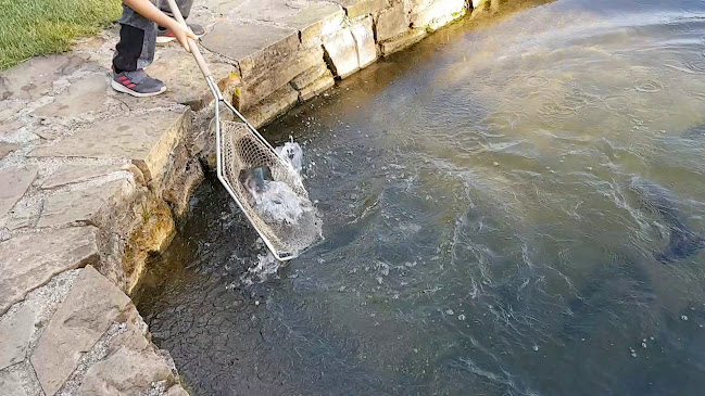 Rybáreň "Na Háku" Liptovská Sielnica - Gastronómia a pohostinstvo