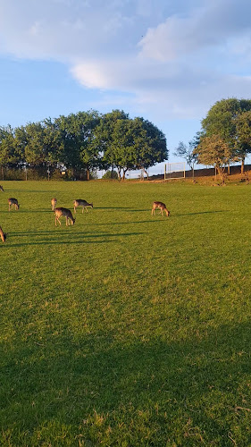 Furman Restaurant - Gastronómia a pohostinstvo