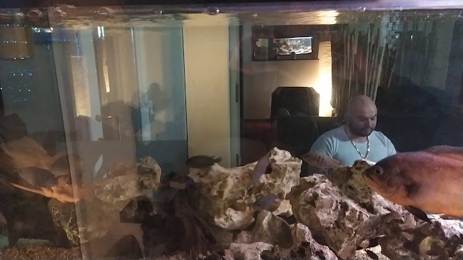 Cafe & Bar Rybička - Gastronómia a pohostinstvo