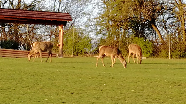 Comentarii opinii despre Furman Restaurant